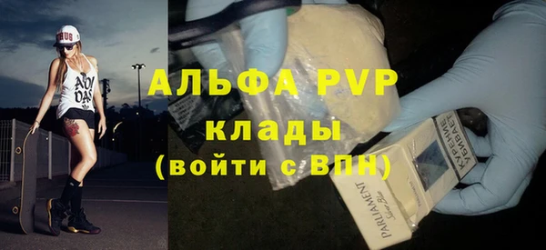 сатива Арсеньев