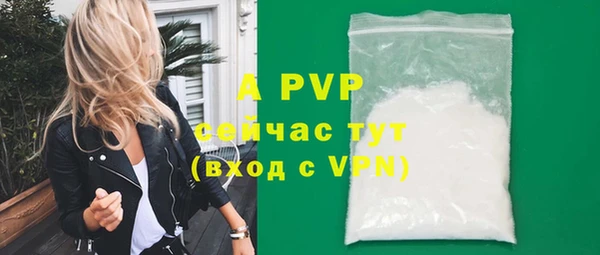 сатива Арсеньев