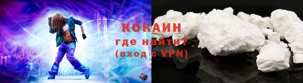 сатива Арсеньев