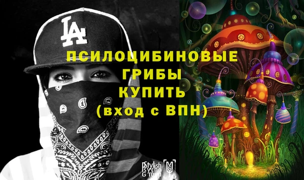 сатива Арсеньев