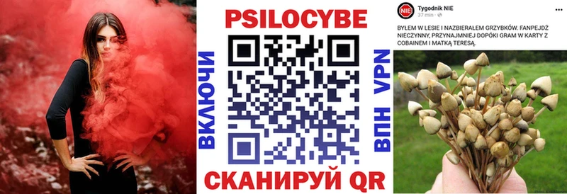 купить наркоту  Орёл  Псилоцибиновые грибы мицелий 